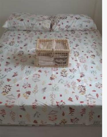 Apartamento Vila Aconchego Salmao ซัลวาดอร์ ภายนอก รูปภาพ